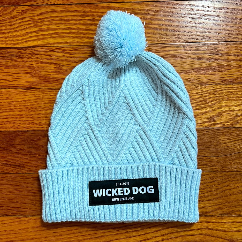 NWOT Wicked Dog Beanie